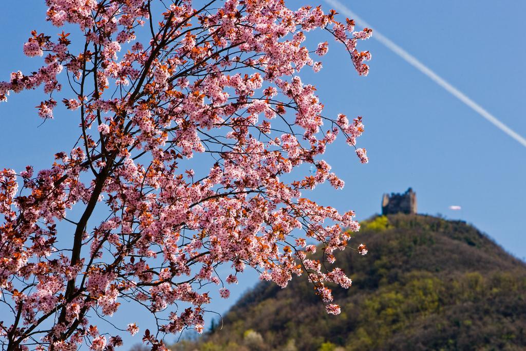 Seegarten Кальдаро Екстер'єр фото